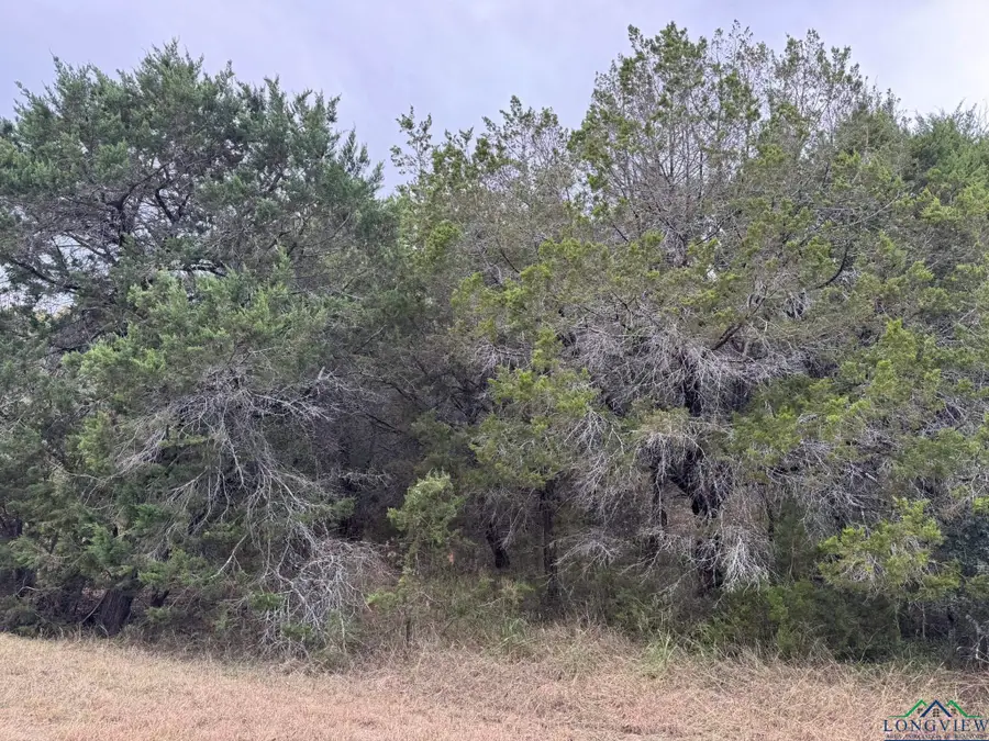 41077 Heartwood Circle, Whitney, TX 76692 - Image #2