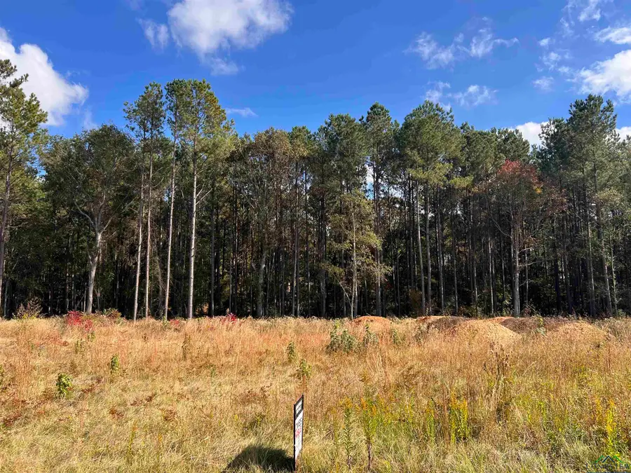 Lot 2,3 or 4 CR 2204D, Tatum, TX 75691 - Image #2