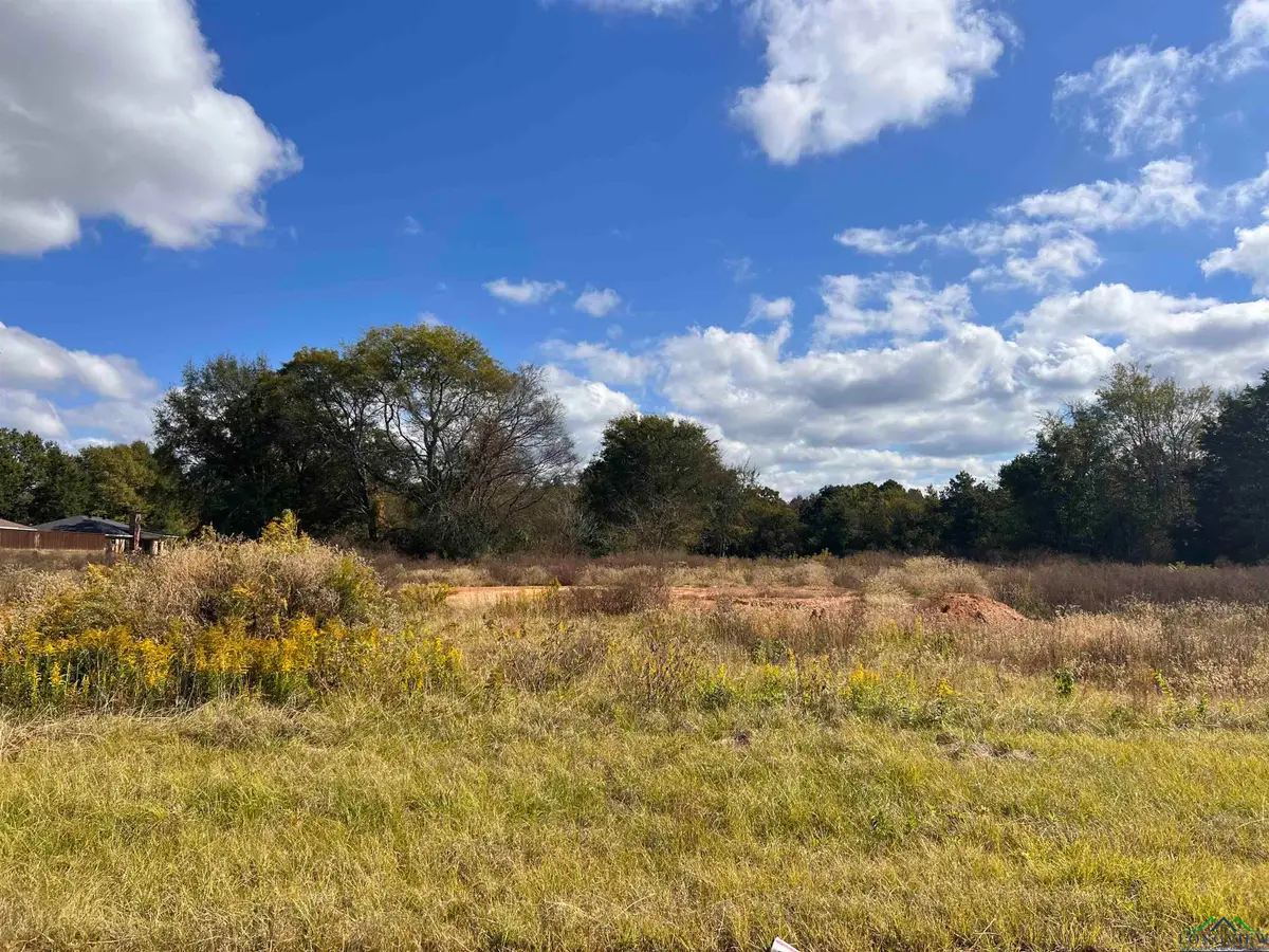 Lot 9,10,11 CR 2204 D, Tatum, TX 75691 - Image #1