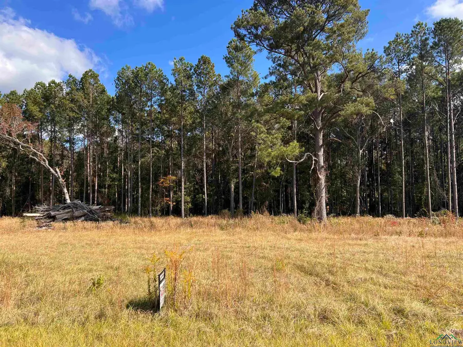 Lot 9,10,11 CR 2204 D, Tatum, TX 75691 - Image #3