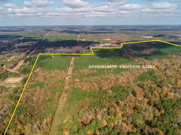 NEWTON RD, Marshall, TX 75670