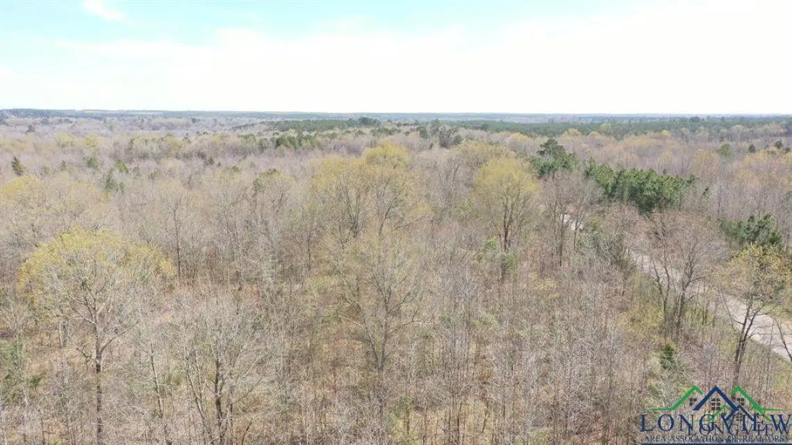 TBD FM 1399, Marietta, TX 75566 - Image #1