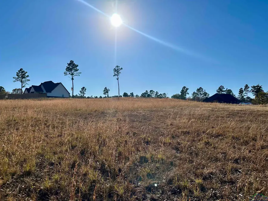 178 Eagle Creek Dr, Diana, TX 75640 - Image #3