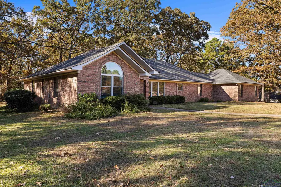 16 PR (Private Road) 52365, Pittsburg, TX 75686 - Image #3