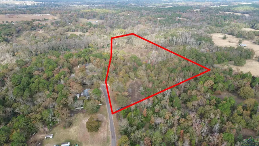 292 Sorrell Rd, Gilmer, TX 75645 - Image #3