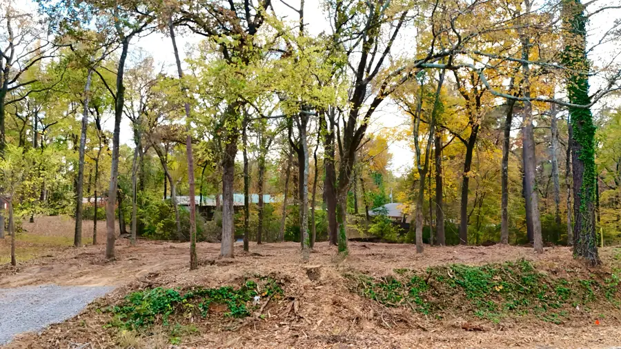 TBD Pliler Precise Road, Longview, TX 75605 - Image #3