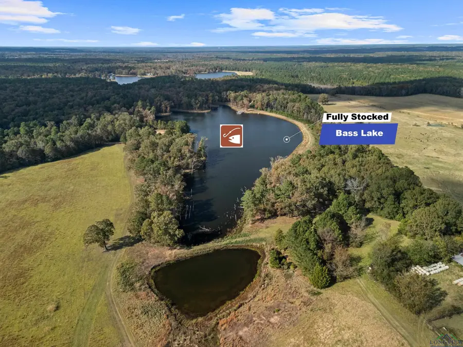 330 PR 691, Beckville, TX 75631 - Image #2