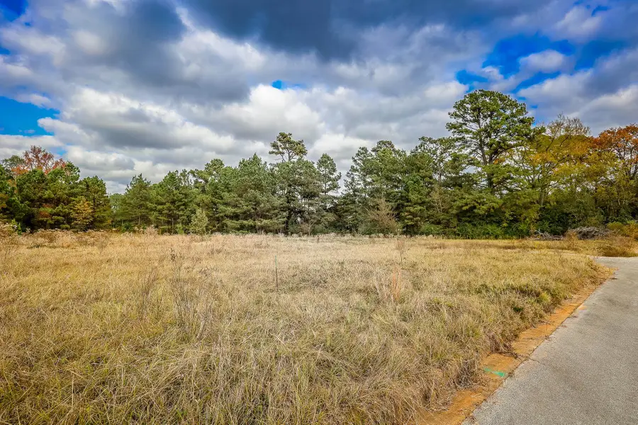 LOTS 1-7 BRENDA LANE, Henderson, TX 75657 - Image #2