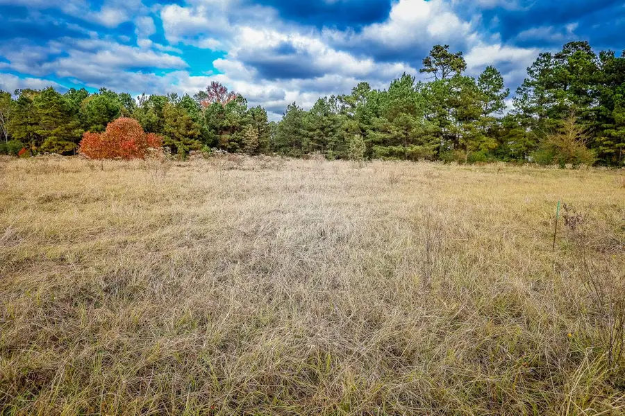 LOTS 1-7 BRENDA LANE, Henderson, TX 75657 - Image #3