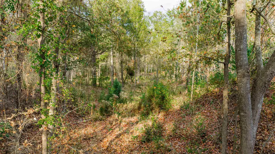 0000 Savannah Hills, Longview, TX 75605 - #2