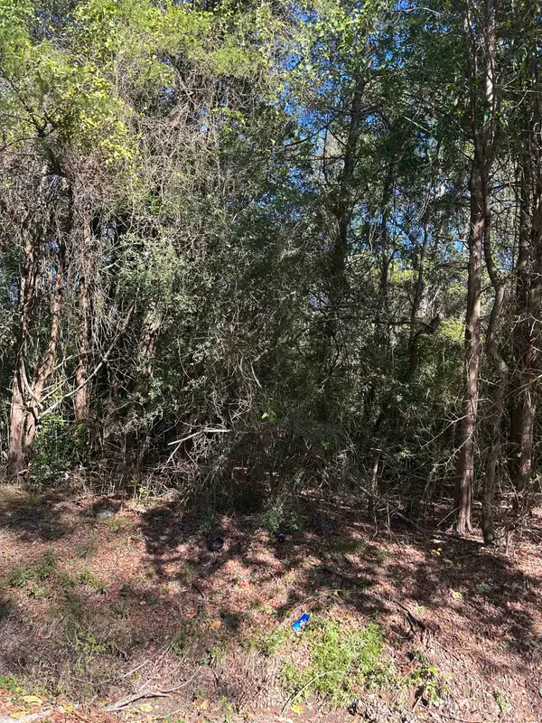 TBD Sanders St., Carthage, TX 75633