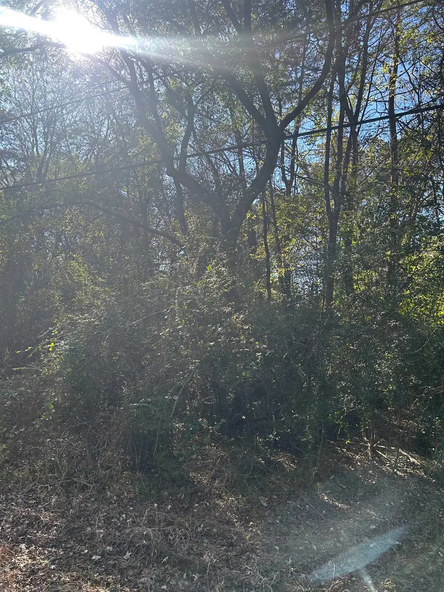 TBD Sanders St., Carthage, TX 75633 - Image #2