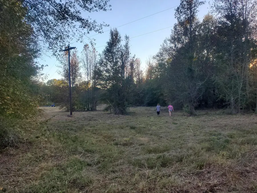 2350 Davis Rd, Omaha, TX 75571 - Image #2