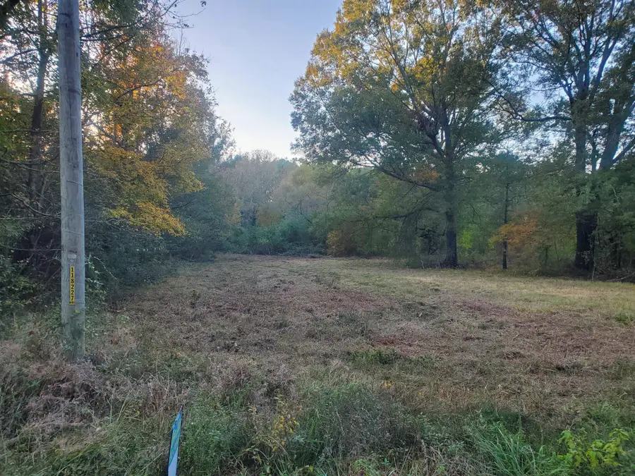 2350 Davis Rd, Omaha, TX 75571 - Image #3