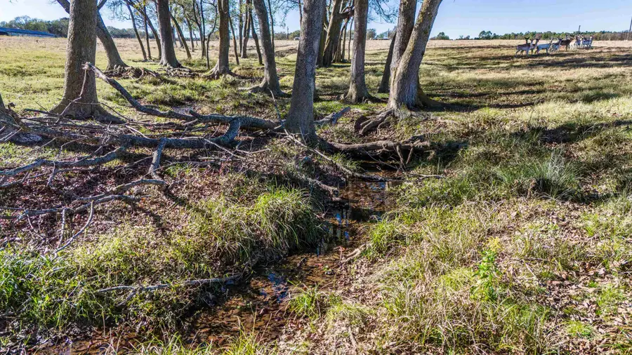 TBD County Road SE 4150, Mount Pleasant, TX 75455 - Image #3