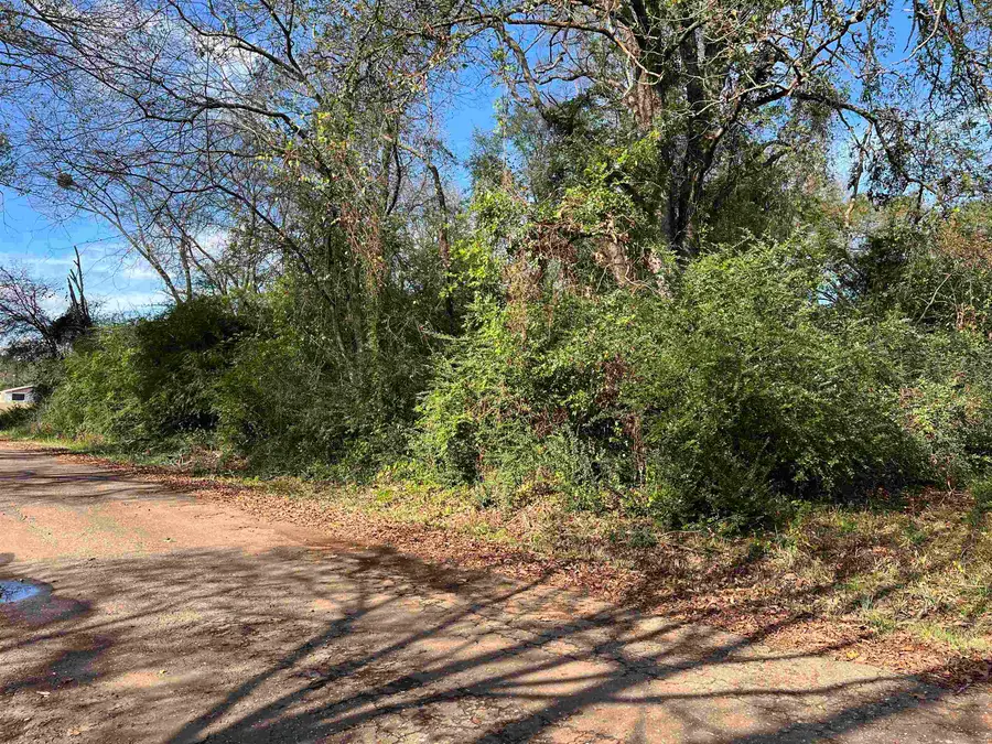 TBD FM 1795, Gilmer, TX 75644 - Image #2