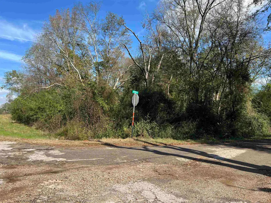 TBD FM 1795, Gilmer, TX 75644 - Image #3