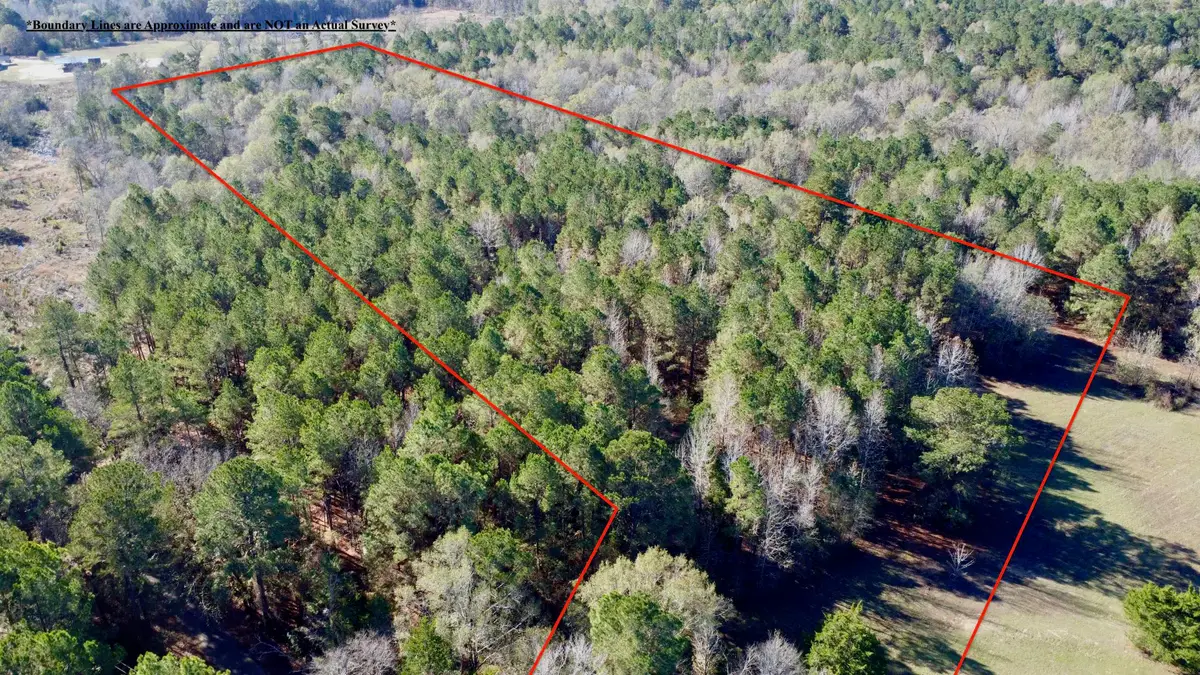 TBD CR 2921, Hughes Springs, TX 75656 - Image #1
