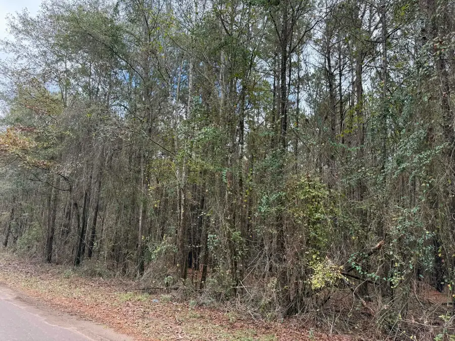 TBD Holiday Harbor Drive, Jefferson, TX 75657 - Image #2