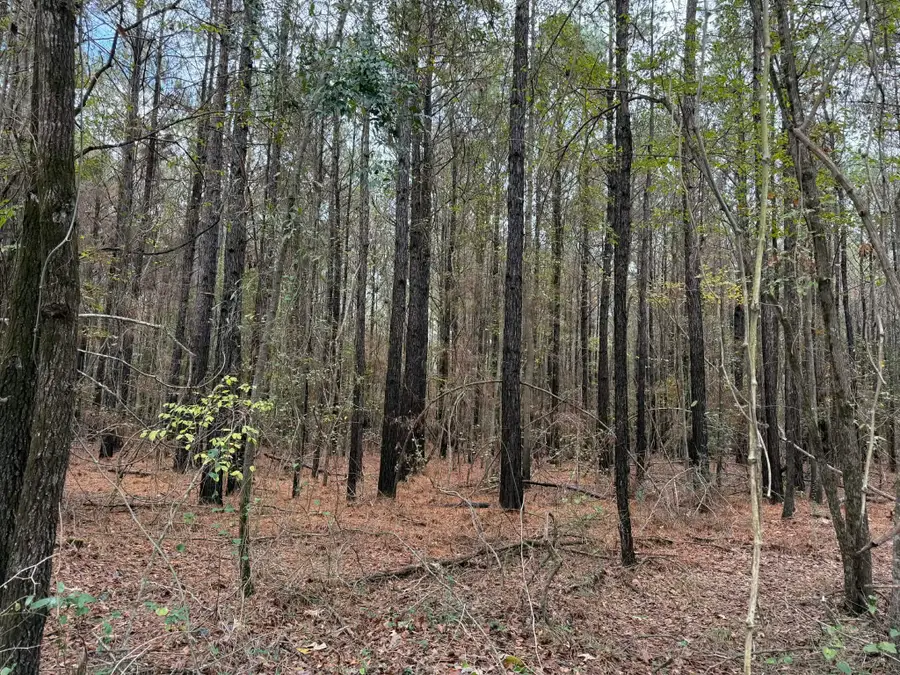 TBD Holiday Harbor Drive, Jefferson, TX 75657 - Image #3