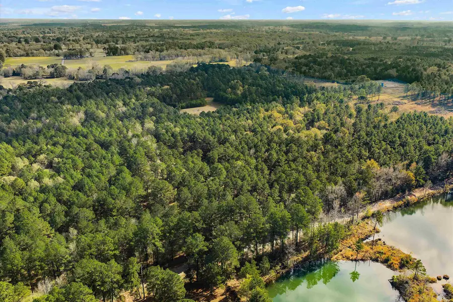 TBD CR 4131, Henderson, TX 75652-000 - Image #3