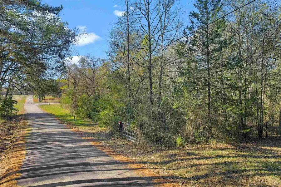 234 County Road 2238, Daingerfield, TX 75638 - Image #3