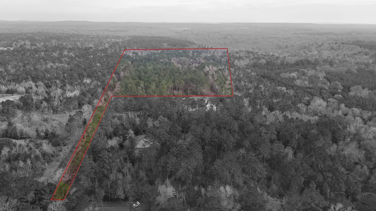 TBD AN COUNTY ROAD 353, Palestine, TX 75801 - #1