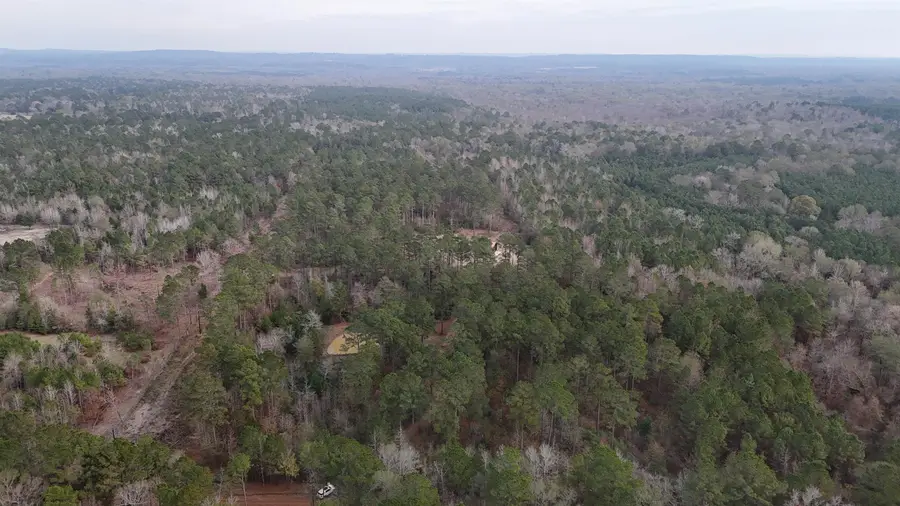 TBD AN COUNTY ROAD 353, Palestine, TX 75801 - #2