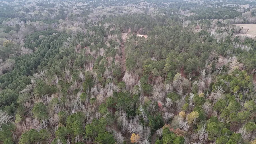 TBD AN COUNTY ROAD 353, Palestine, TX 75801 - #3