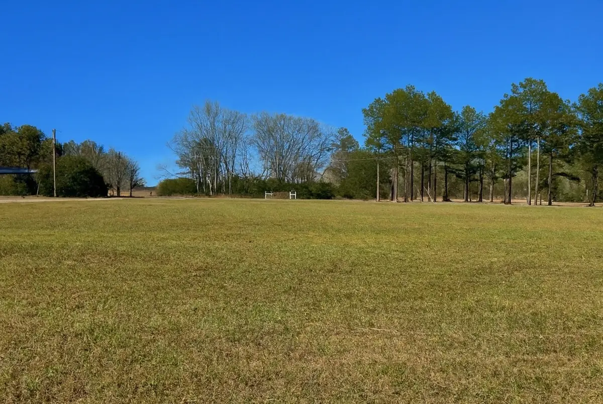 17559 FM 31, Elysian Fields, TX 75642 - Image #1