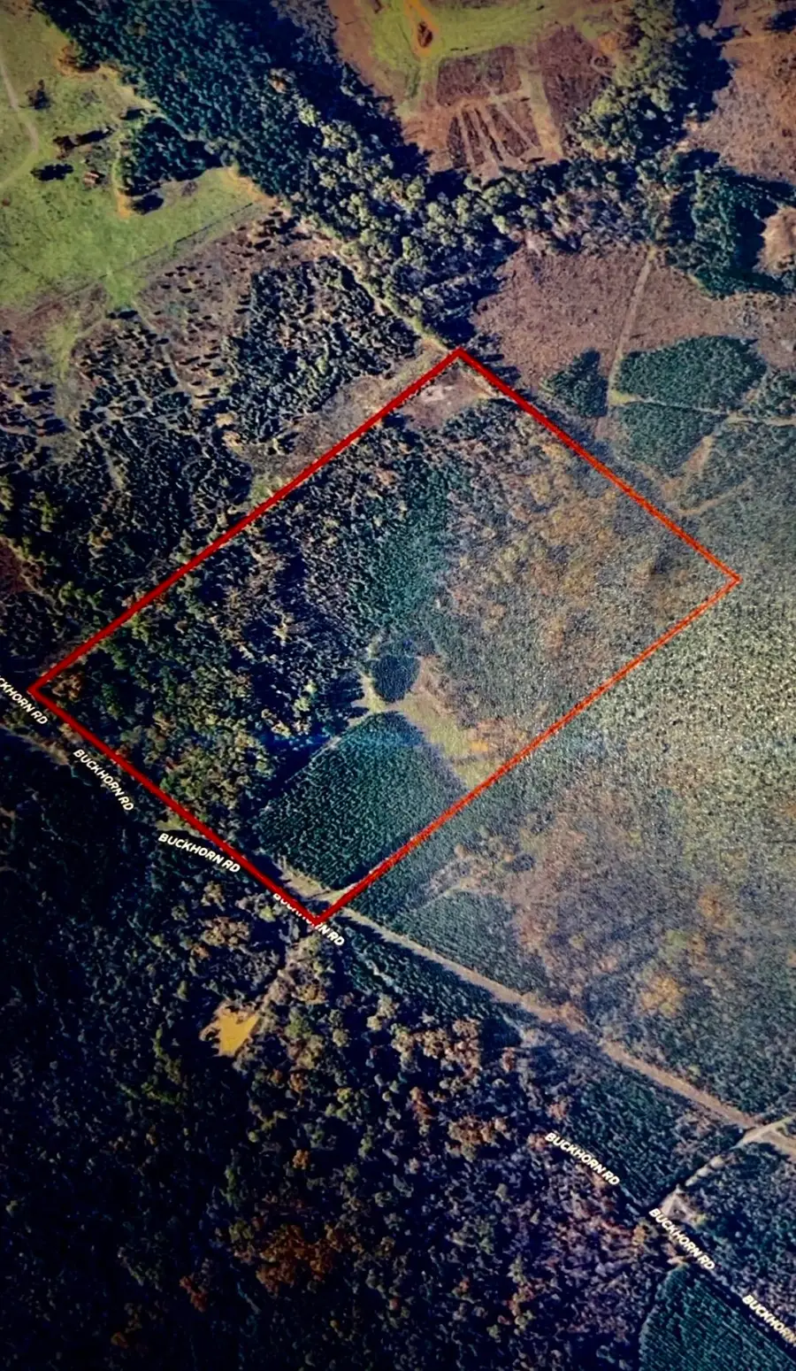 17559 FM 31, Elysian Fields, TX 75642 - Image #2