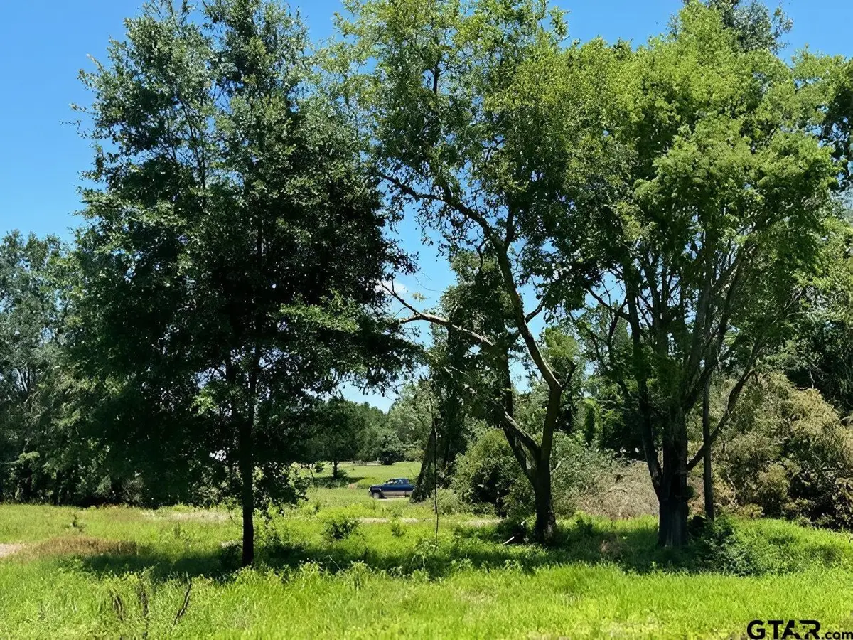 17846 E Farm to Market 346, Troup, TX 75789 - Image #1