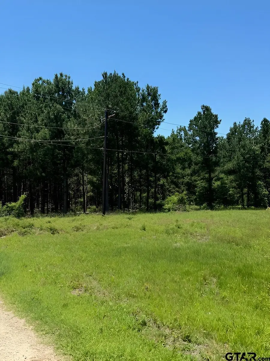 17846 E Farm to Market 346, Troup, TX 75789 - Image #3