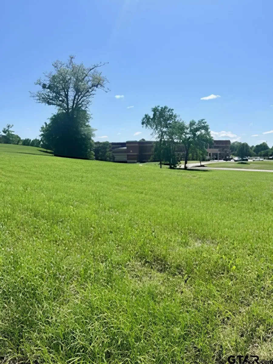 2698 N Broadway Avenue, Tyler, TX 75702 - #3