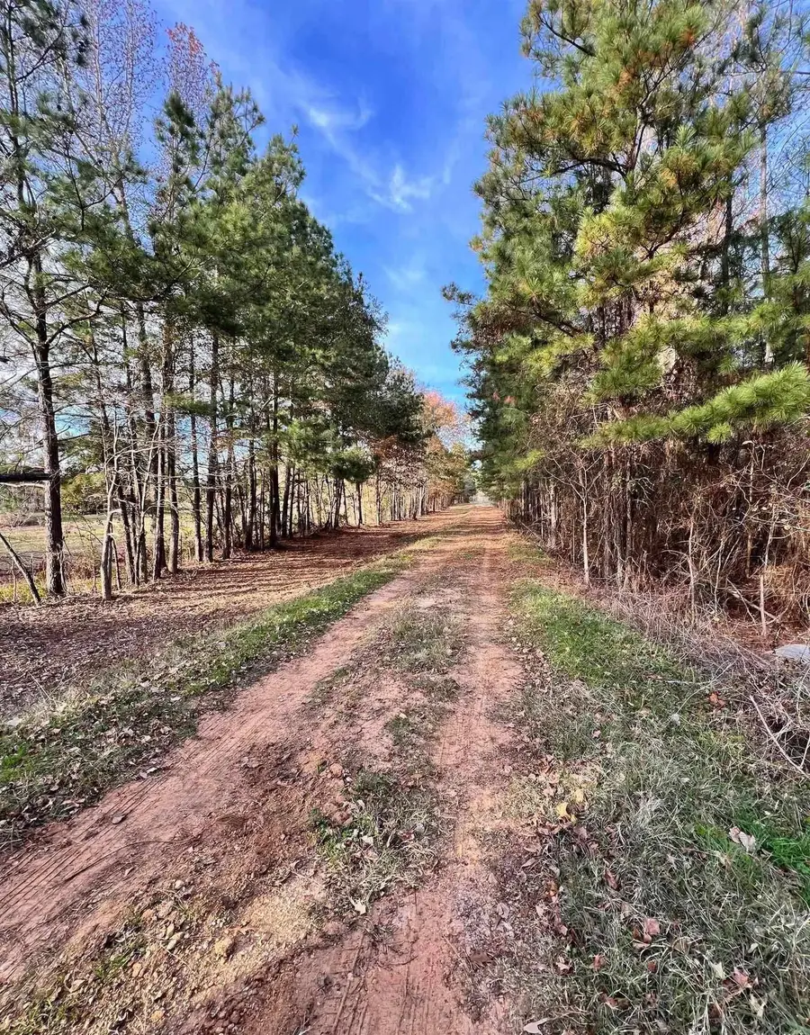 18900 Farm to Market 15, Troup, TX 75789 - Image #3