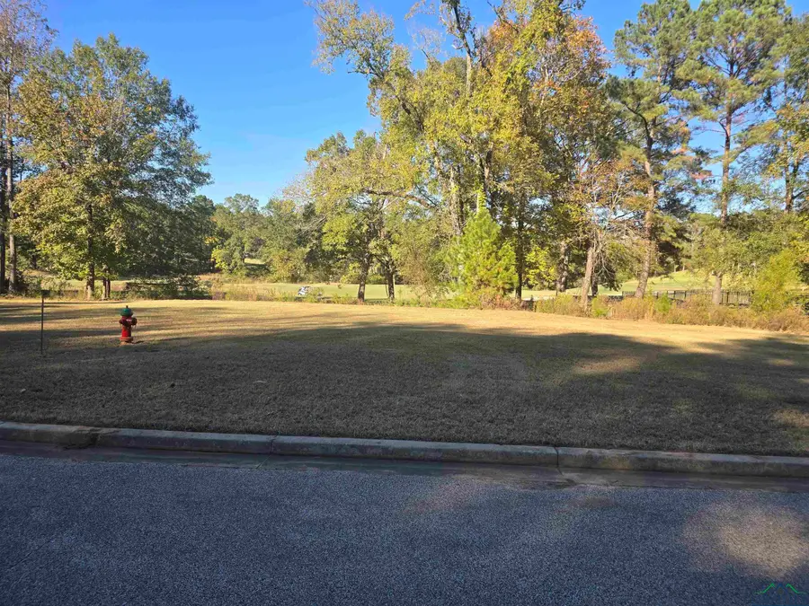 Tbd Hogan Ct, Gladewater, TX 75647 - Image #2