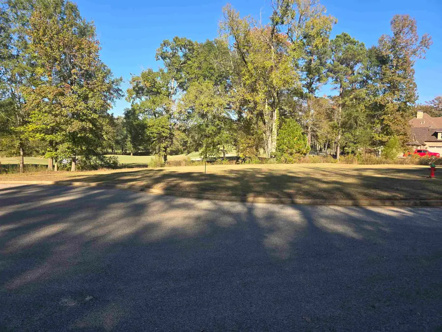 Tbd Hogan Ct, Gladewater, TX 75647 - Image #3