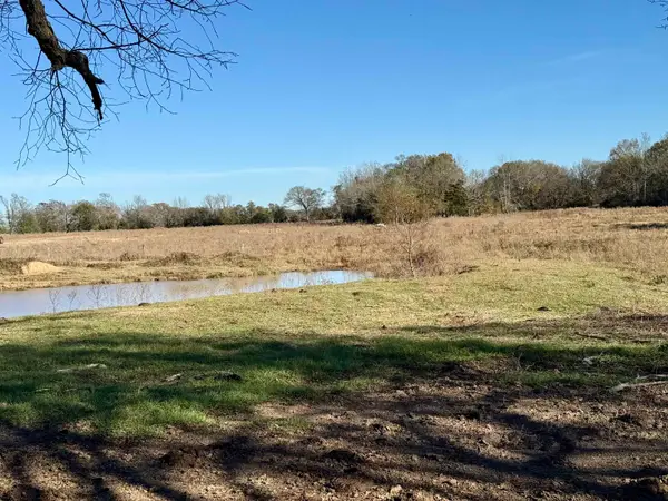 5590 Collie Road, Gilmer, TX 75644