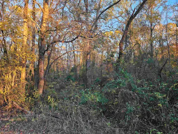 18184 CR 4108, Lindale, TX 75771