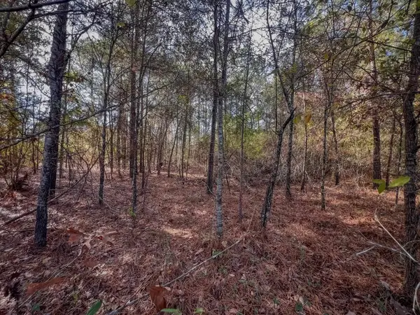 941 Dogwood Trl, Waskom, TX 75692