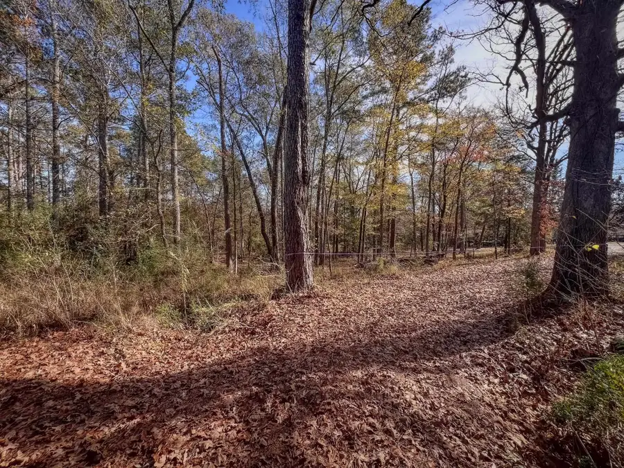 941 Dogwood Trl, Waskom, TX 75692 - Image #2