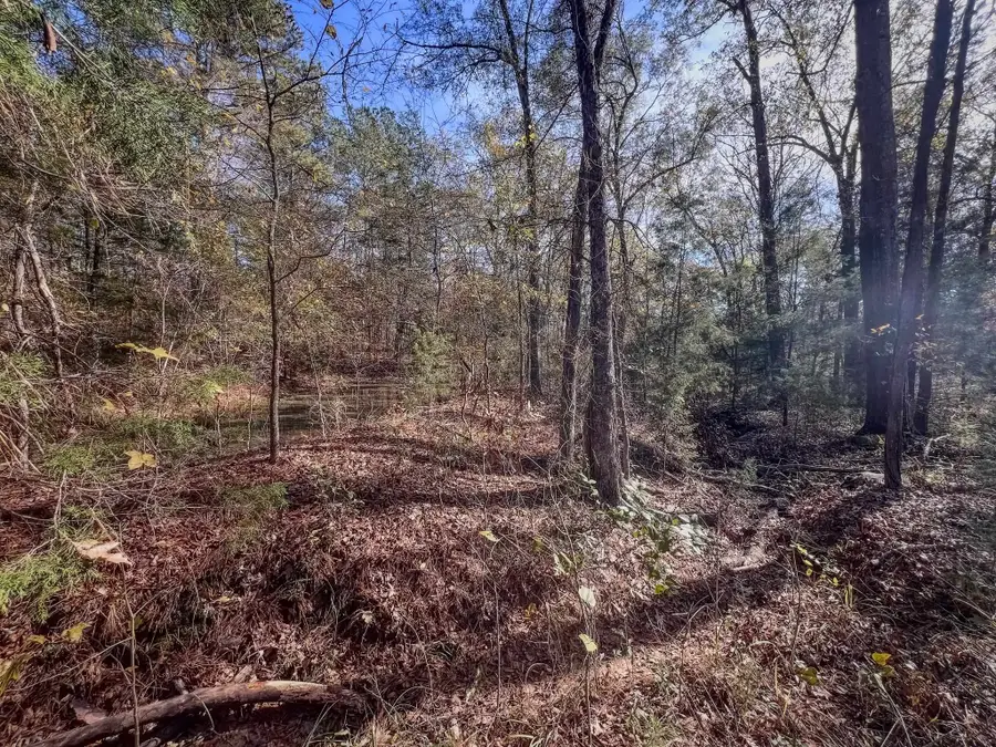 941 Dogwood Trl, Waskom, TX 75692 - Image #3