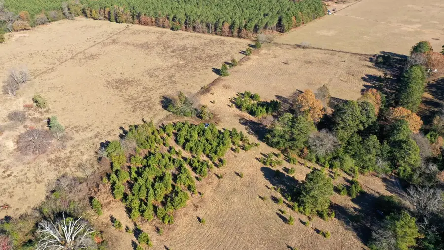 1156 FM 1399, Linden, TX 75563-0000 - Image #2