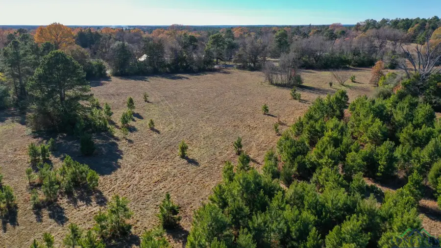 1156 FM 1399, Linden, TX 75563-0000 - Image #3