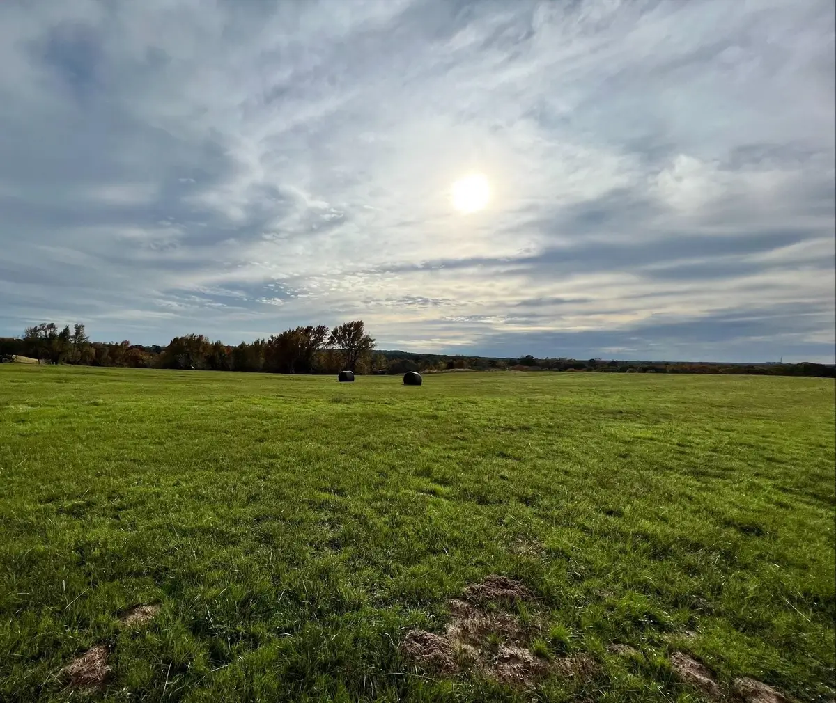 1495 259 S, De Kalb, TX 75559 - Image #1