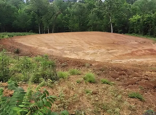 16160 W Valley View Court, Winona, TX 75792-1009