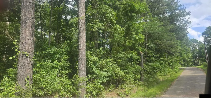 TBD Catalina Street, Ore City, TX 75683 - #3