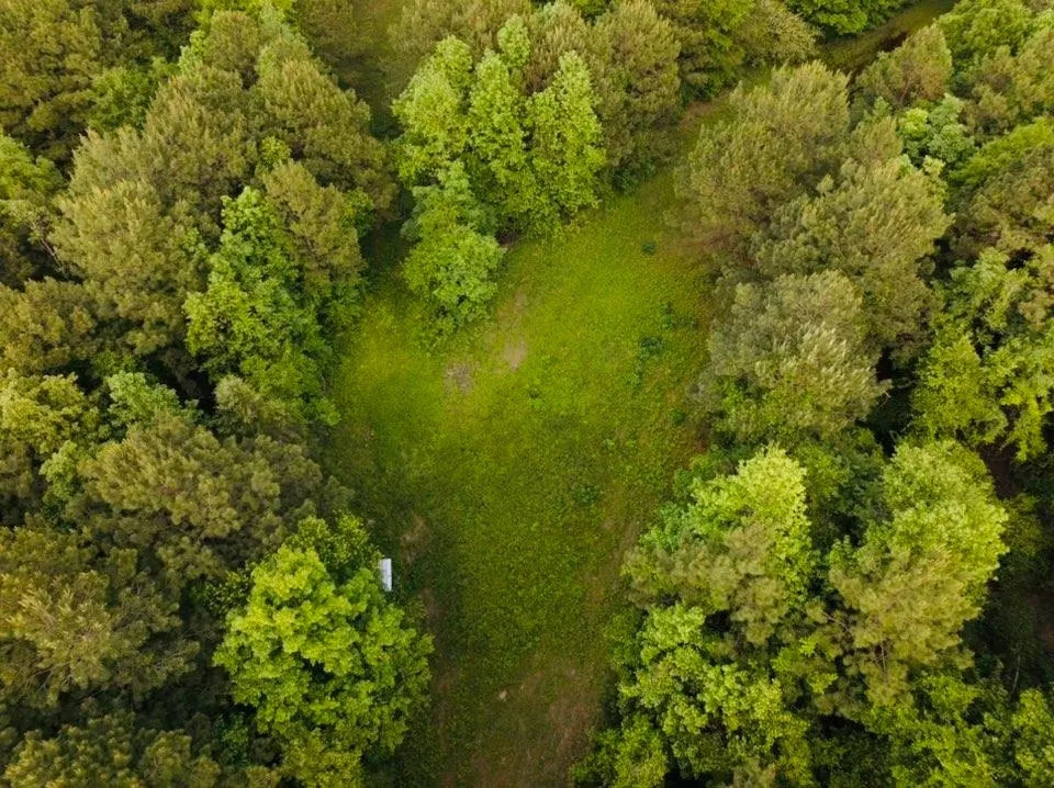 TBD CR 4796, Bloomburg, TX 75556 - Image #1