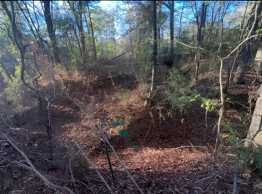 TBD S County Road 317, Henderson, TX 75654 - Image #3