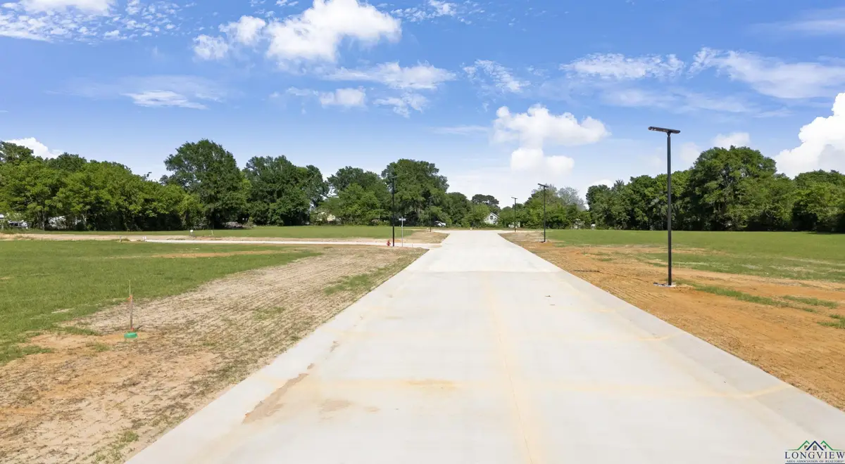206 E Teal Drive, Troup, TX 75789 - #1
